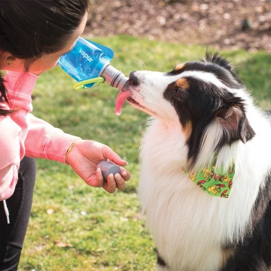 Vapur Ez Lick Portable Dog Waterfles - Whiteout