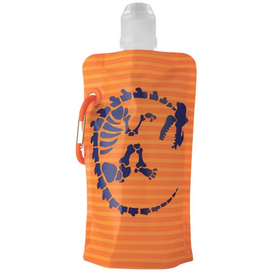 Vapur Kids Fles 400 ml - Dinosaurs
