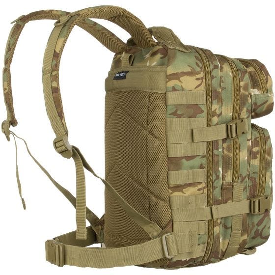 Mil-Tec MOLLE US Kleine Aanvalsrugzak - Arid Woodland