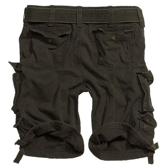 Surplus Division Short - Bruin
